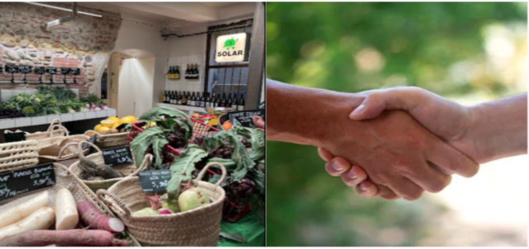 L&rsquo;épicerie Primeur Solar à Perpignan recherche légumes, fruits, fromages, charcuterie, œufs et épices Bio