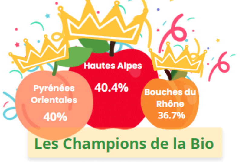 Les chiffres 2023 de l’AB en France sont disponibles depuis la conférence de presse de l’Agence Bio du 13 juin 2024