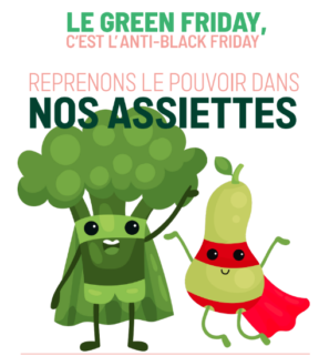 Mobilisation du Green Friday  du 29/11/2024 &#8211; Souhaitez vous participer?