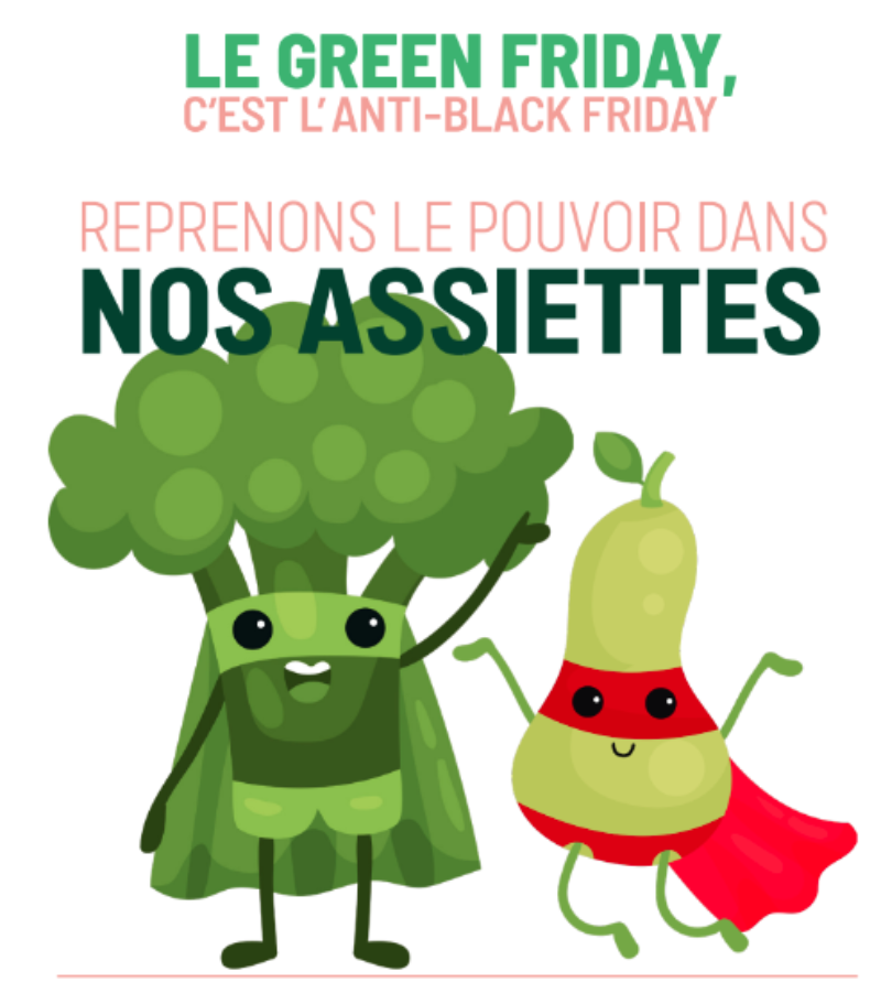 Mobilisation du Green Friday  du 29/11/2024 &#8211; Souhaitez vous participer?