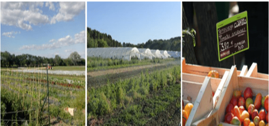 Vous êtes un porteur de projet en agriculture ? Vous ne trouvez pas de foncier ?   Vous souhaitez vous tester avant de vous lancer ?