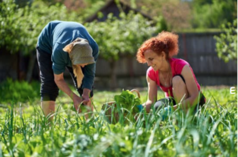 Recherche témoignages :  « La place des femmes en agriculture biologique et écologisation des pratiques : dynamiques genrées et revendications environnementales (1980-2010) »