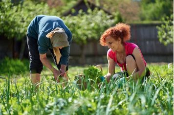 Recherche témoignages :  « La place des femmes en agriculture biologique et écologisation des pratiques : dynamiques genrées et revendications environnementales (1980-2010) »