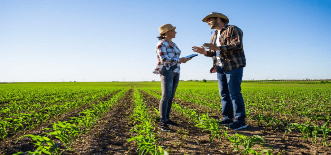 Recherche transmission/reprise d&rsquo;exploitation en Agriculture Biologique