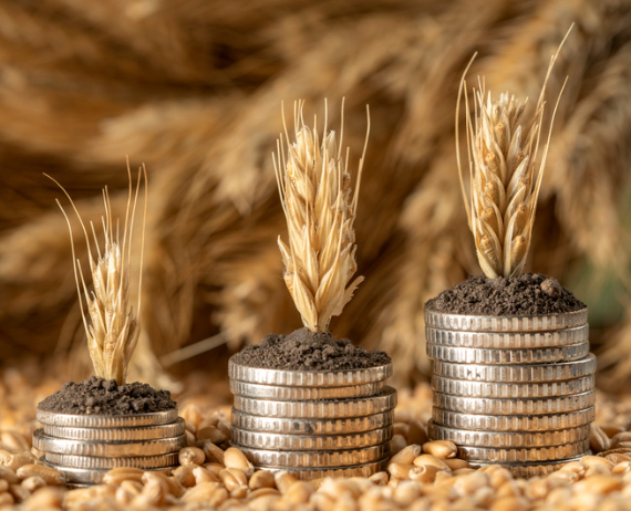 Mesure exceptionnelle et temporaire &#8211; Agriculteurs et coopératives &#8211; Sinistres climatiques et sanitaires 2024