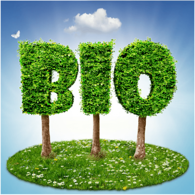 Retrouver le baromètre de la Bio 2025 !